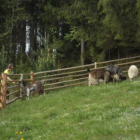 Vezha Vedmezha 4* Volosyanka (Lviv)