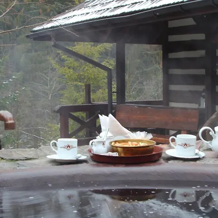 Hotel Vezha Vedmezha Volosyanka (Lviv)