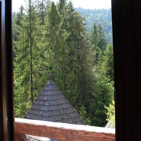 Vezha Vedmezha Hotel Volosyanka (Lviv)