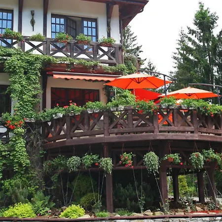 Vezha Vedmezha Volosyanka (Lviv)