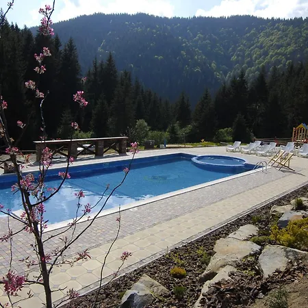 Vezha Vedmezha Volosyanka (Lviv)